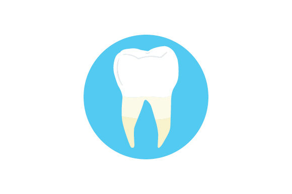 Molar: Medical Crafts Design Asset